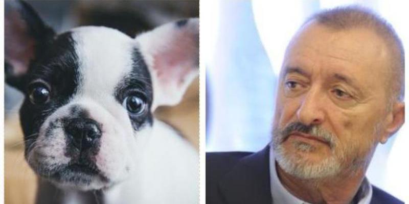 La carta de Arturo P&eacute;rez-Reverte que debes compartir cada Navidad: "No compres ese perro"