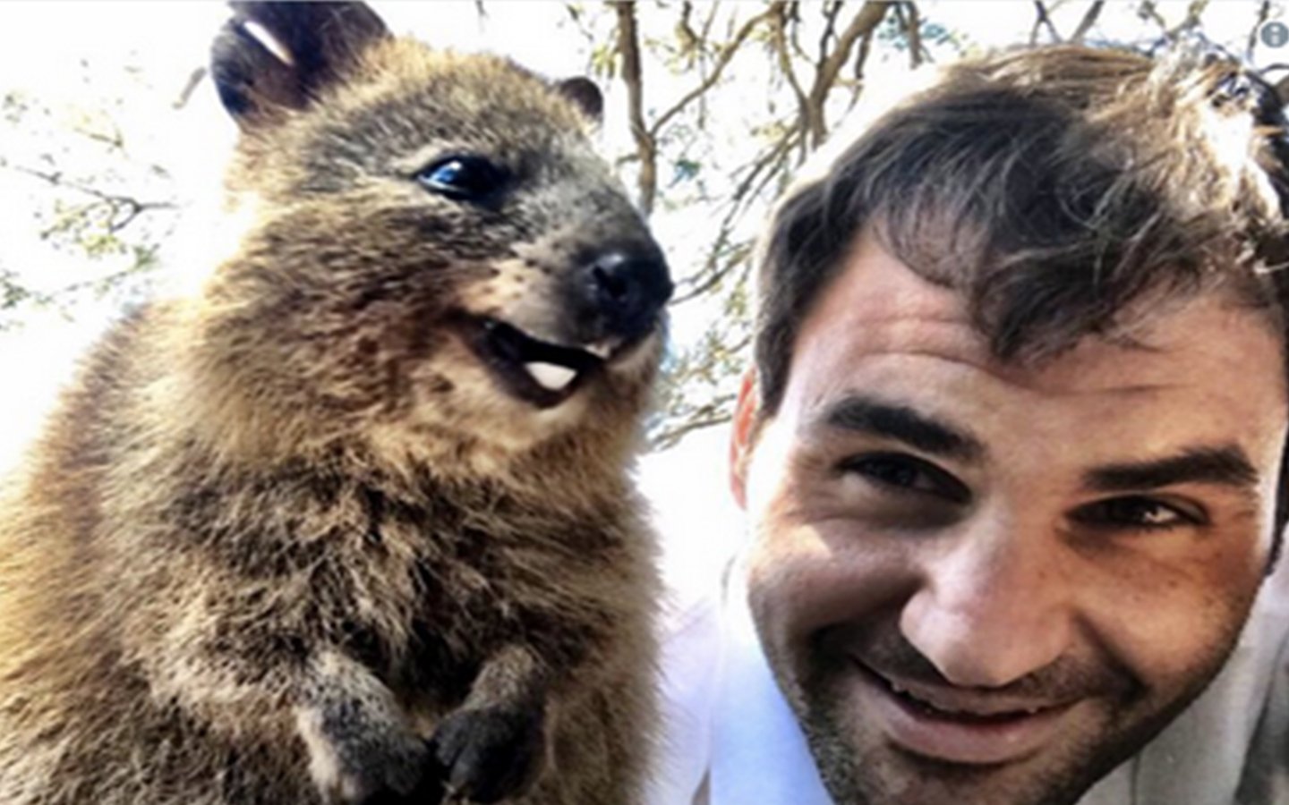 El selfie de Roger Federer con un quokka
