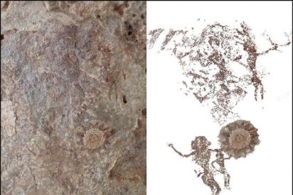 Un tesoro de arte rupestre aparece en una peque&ntilde;a isla indonesia