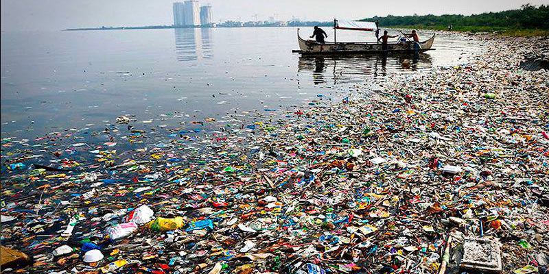 Hallan restos de pl&aacute;stico en mejillones de oc&eacute;anos desde el Artico a las costas de China