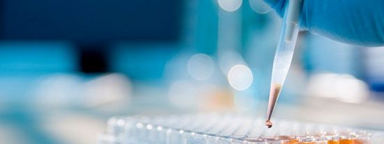 Federico S&aacute;nchez Arias: "Bio&eacute;tica y dignidad humana"