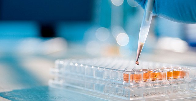 Federico S&aacute;nchez Arias: "Bio&eacute;tica y dignidad humana"