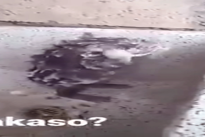 Esta rata no se est&aacute; duchando: est&aacute; tratando de quitarse el jab&oacute;n que un humano le puso