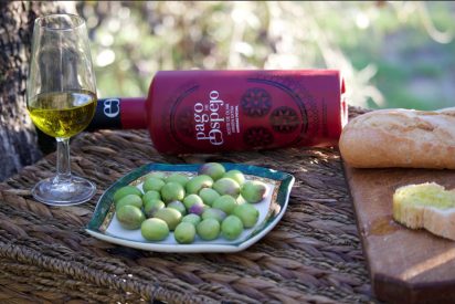 Pago de Espejo y su cosecha temprana