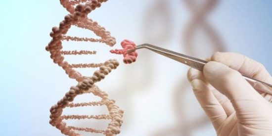 &iquest;Podremos alg&uacute;n d&iacute;a 'borrar' las enfermedades m&aacute;s mortales del ser humano?