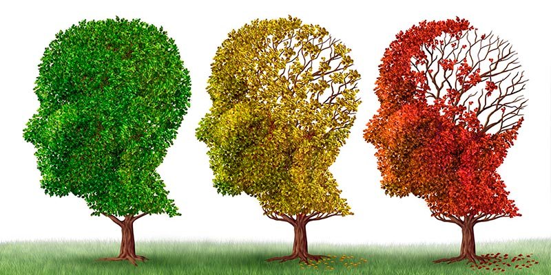 &iquest;Sabes cu&aacute;les son las nuevas herramientas para luchar contra el Alzheimer?