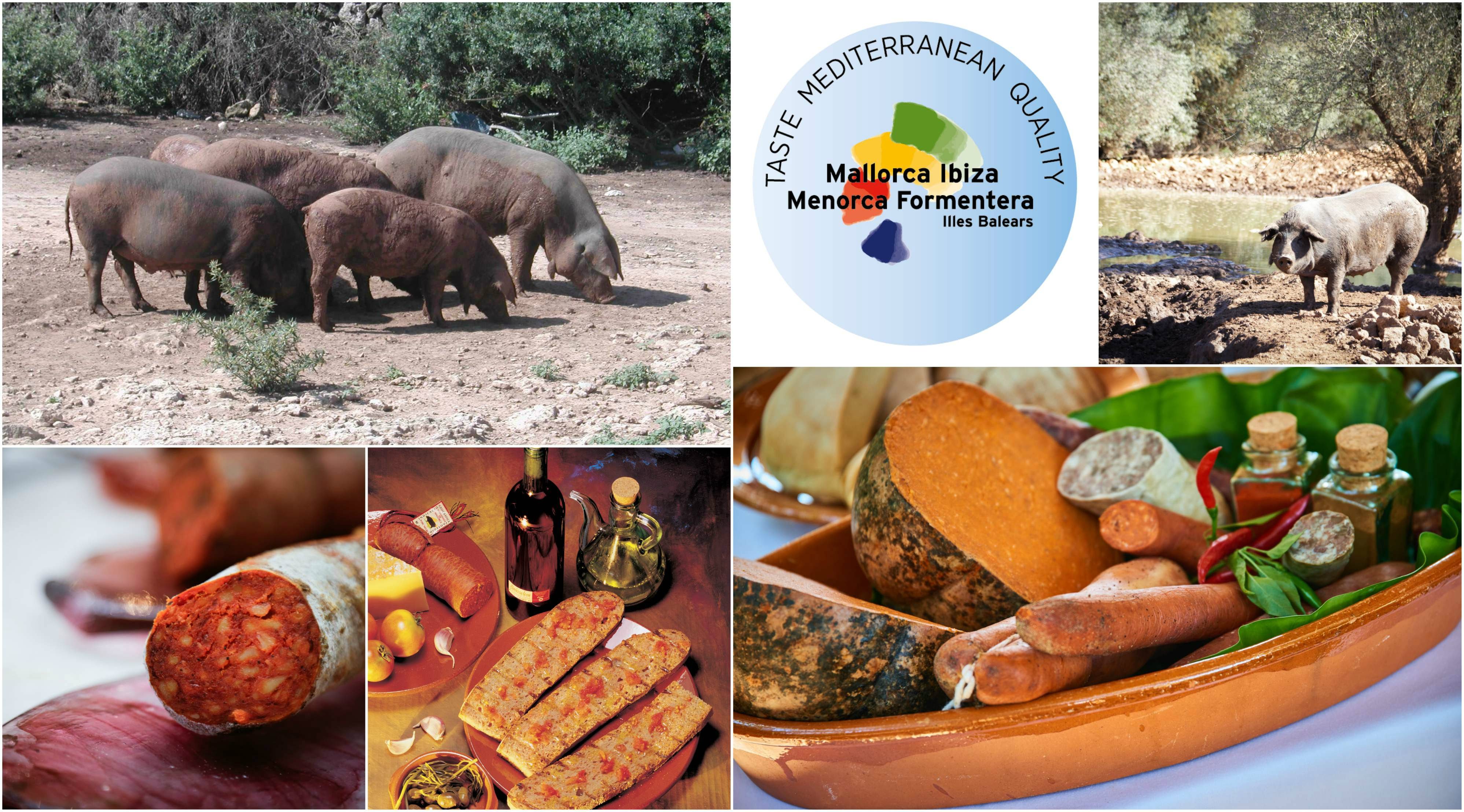 El Cerdo Negro Mallorqu&iacute;n, la raza porcina aut&oacute;ctona por excelencia