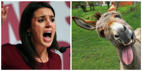 Alfonso Ussía despelleja a la 'portacoz' podemita Montero por su rebuzno parlamentario