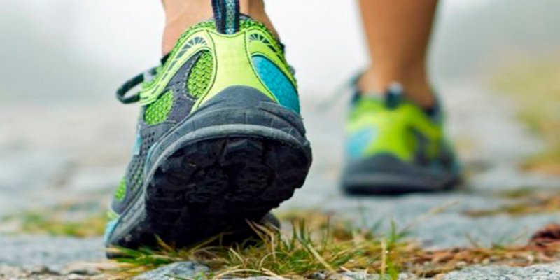 &iexcl;Gran avance!: Consiguen que ratas parapl&eacute;jicas vuelven a caminar tras una terapia