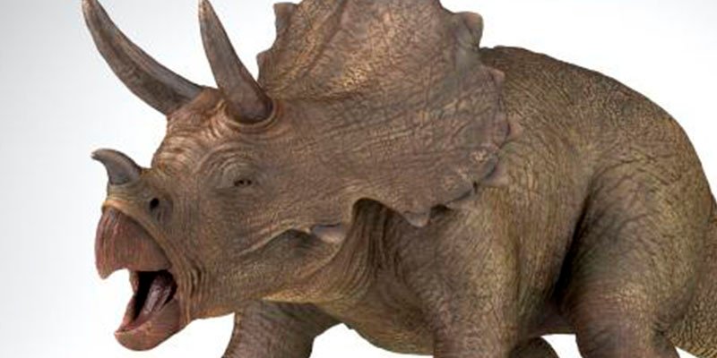 &iquest;Sab&iacute;as que los dinosaurios cornudos eran los m&aacute;s amorosos?
