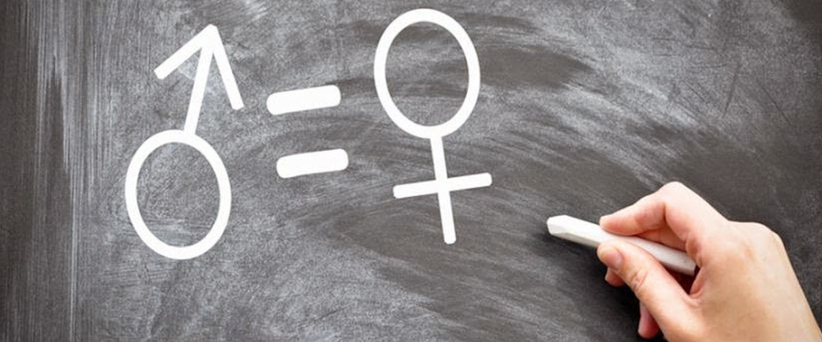 Pedro Manuel Hern&aacute;ndez: "A vueltas... con las 'gilipolleces de g&eacute;nero'"