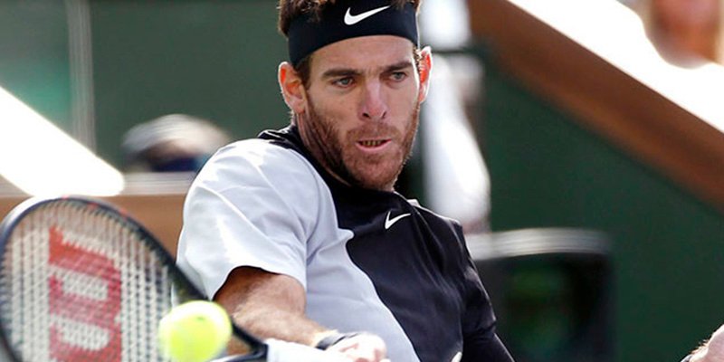 Juan Martín Del Potro