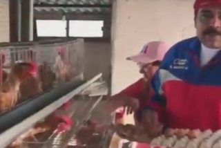 Maduro, rodeado de gallinas, pide a los venezolanos que monten granjas en casas para no morir de hambre