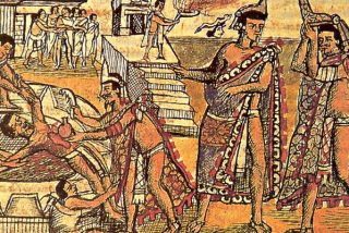 Los f&oacute;siles de heces humanas desvelan pistas del colapso de la civilizaci&oacute;n maya