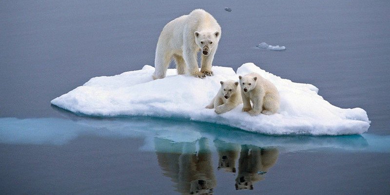 Planeta Tierra: Los días son un poco más largos por el deshielo en los polos