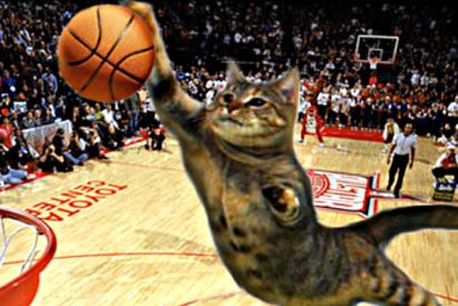 El gato que tiene asustadas a las estrellas de la NBA