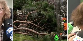 Las mentiras de laSexta para salvar la cara de Carmena y lo que dec&iacute;a cuando los &aacute;rboles ca&iacute;an con Ana Botella