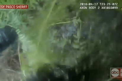 Este delincuente es 'devorado' por un pantano tras una persecuci&oacute;n policial