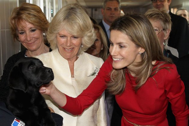 El d&iacute;a en que Letizia ech&oacute; de casa al perro favorito de Felipe para que lo devoraran las alima&ntilde;as