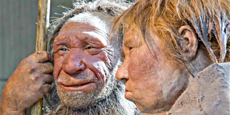 Narizotas: Una vida extrema fue que lo desarroll&oacute; grandes fosas nasales en los neandertales