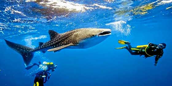 Lo que hay que saber para visitar Honduras este 2018 y disfrutar de lo lindo