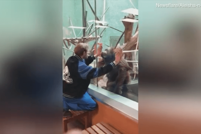 Este visitante de un zoo se gana el beso de un orangut&aacute;n