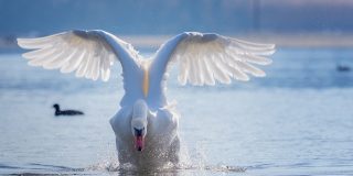 Pron&oacute;stico del Tiempo para este domingo 26 de abril de 2026