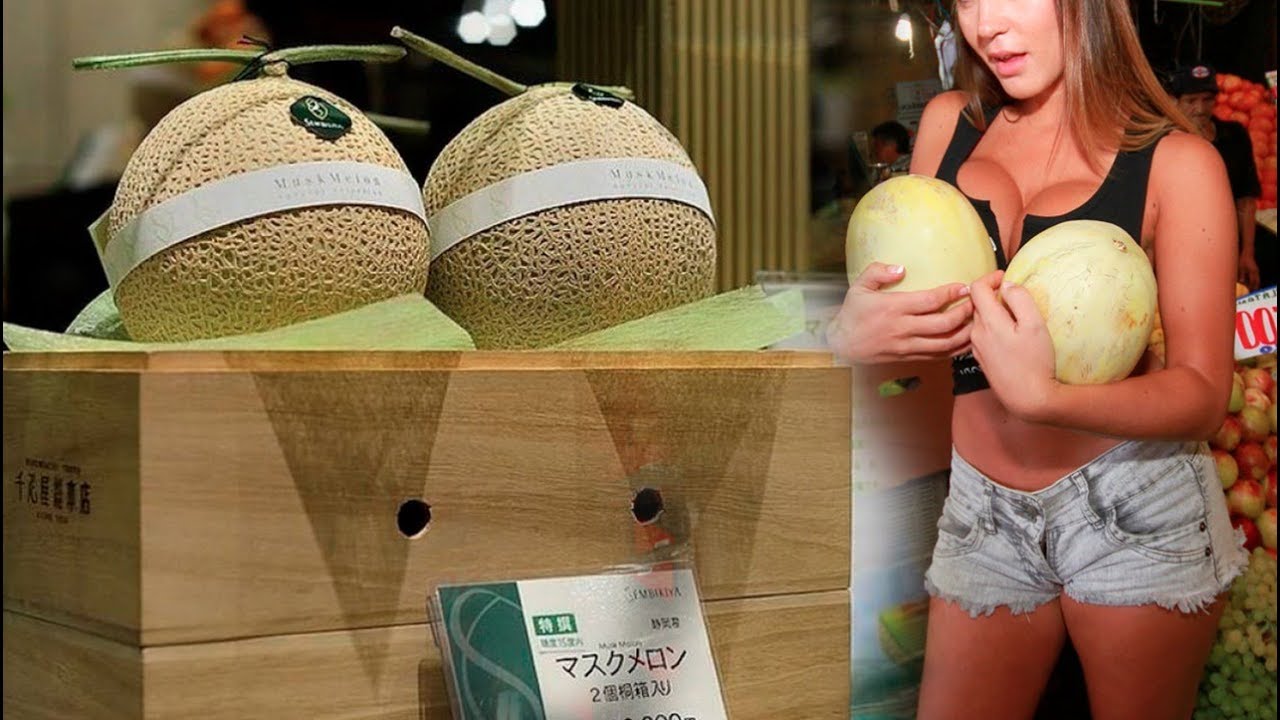 Japón: subastan estos dos melones por más de 29.000 dólares