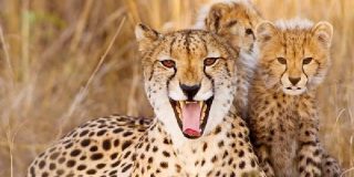 Pronóstico del Tiempo: calor persistente y cielos despejados en España este domingo 31 de agosto de 2025