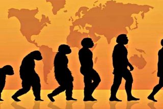 As&iacute; luc&iacute;an los primeros antepasados primates de los humanos