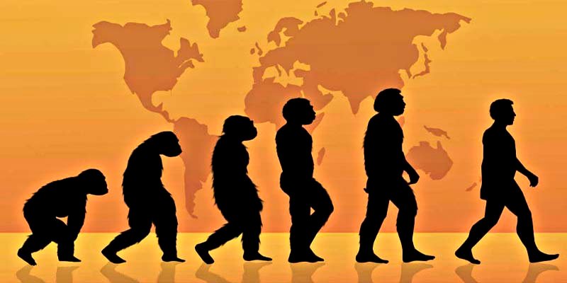 Los científicos descubren al organismo clave en la evolución