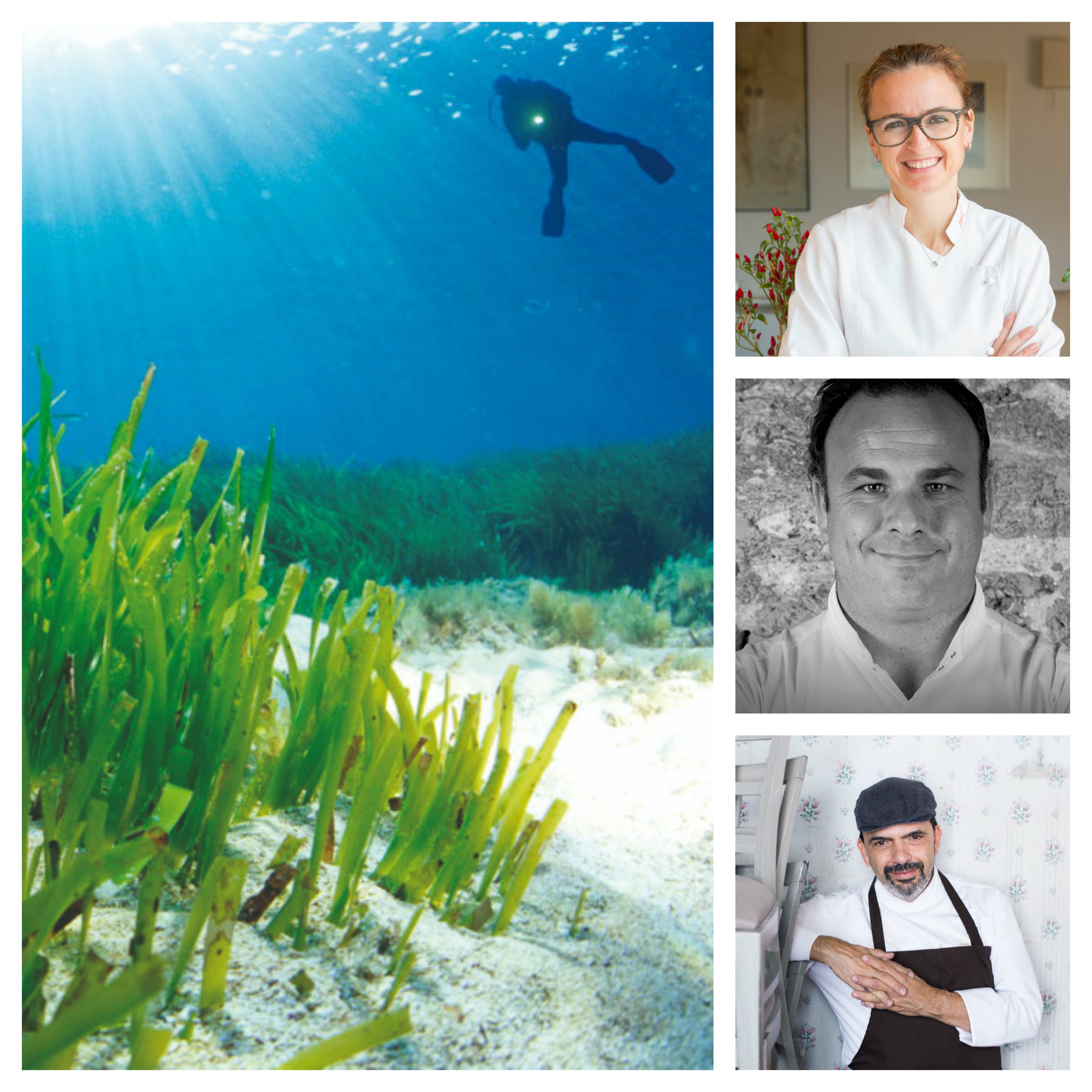 Foro de Gastronom&iacute;a del Mediterr&aacute;neo de Ibiza