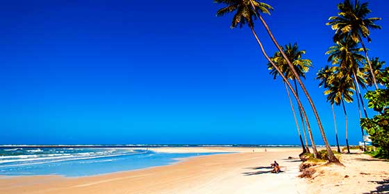 Playas paradis&iacute;acas de Brasil: Pernambuco