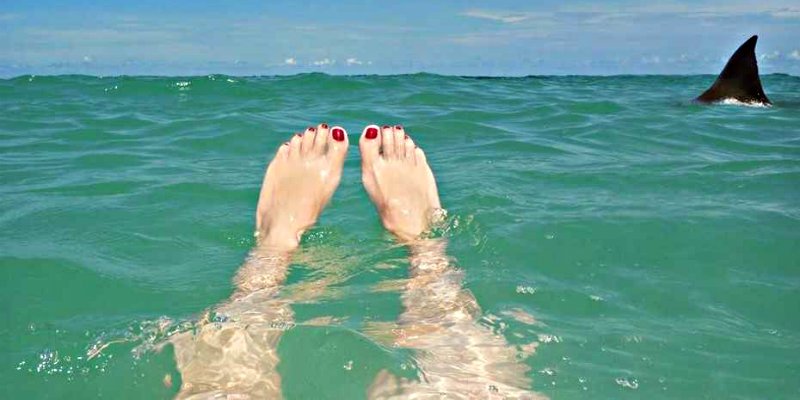 Estas son las playas m&aacute;s peligrosas del mundo: Tiburones, serpientes, cocodrilos y hasta lava...