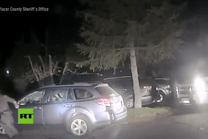 Polic&iacute;a rescata a un oso atrapado dentro de un coche en EE.UU.