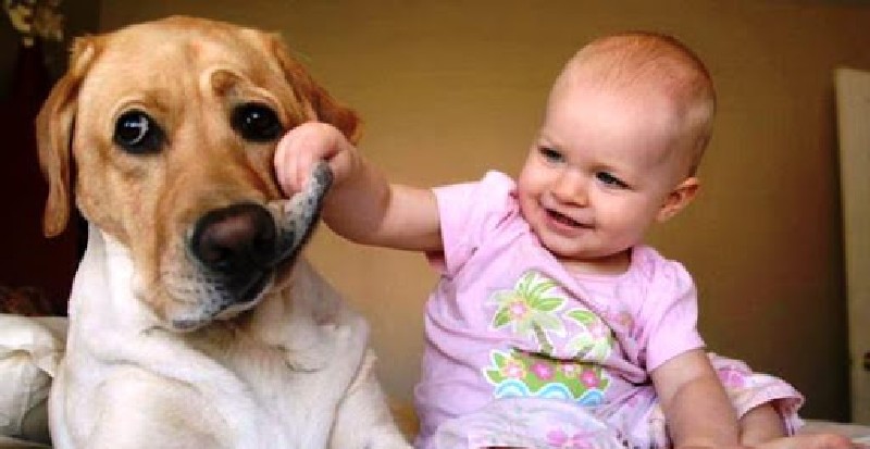 Pron&oacute;stico del tiempo: lluvias, calor y tormentas para este viernes 30 de mayo de 2025