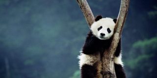 Pron&oacute;stico del Tiempo: refresco de temperaturas este 1 de agosto de 2021