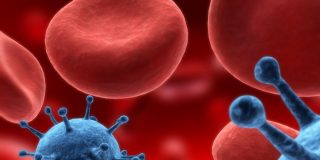 Leucemia