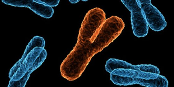 Causas de las bolsas en los ojos genética