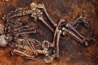 Descubren d&oacute;nde y cu&aacute;ndo se produjo el primer caso de peste bub&oacute;nica