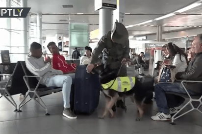 Los narcos ofrecen 70.000 d&oacute;lares por la cabeza de este perro polic&iacute;a