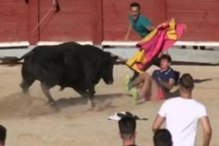 As&iacute; fue el quite que salv&oacute; la vida a este recortador en la plaza de Chinch&oacute;n