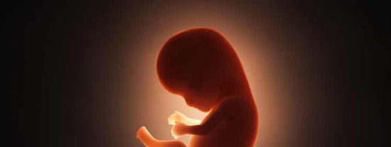 'Aborto por nacimiento parcial'