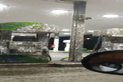 Un enjambre de insectos invade una gasolinera en EE.UU