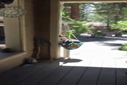 Una mujer ri&ntilde;e a un oso con su "voz de mam&aacute;" y pasa esto&hellip;