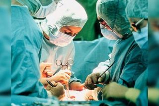 Ha aumentado "considerablemente" la vida &uacute;til de los ri&ntilde;ones trasplantados