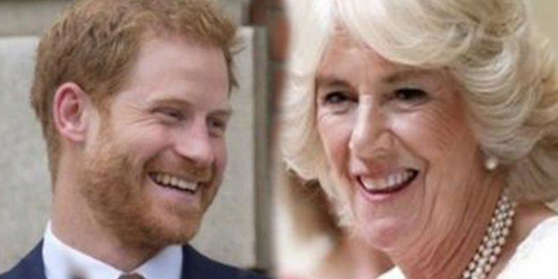El pr&iacute;ncipe Harry confiesa la verdad sobre su relaci&oacute;n con la amante de su padre, Camilla Parker
