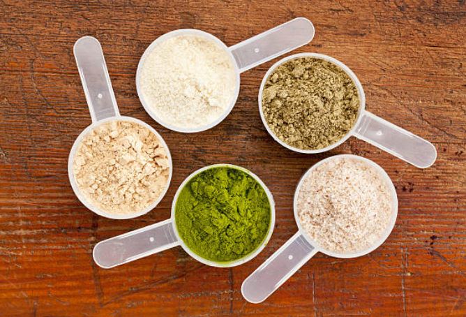 tipos batidos de proteínas