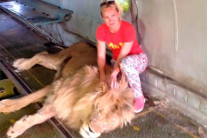 Quiso hacerse una foto con un le&oacute;n en un zoo y casi pierde el brazo