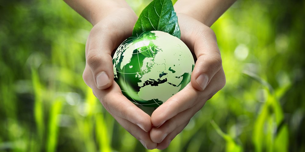 El Vaticano impulsa un "movimiento masivo" para cuidar el planeta